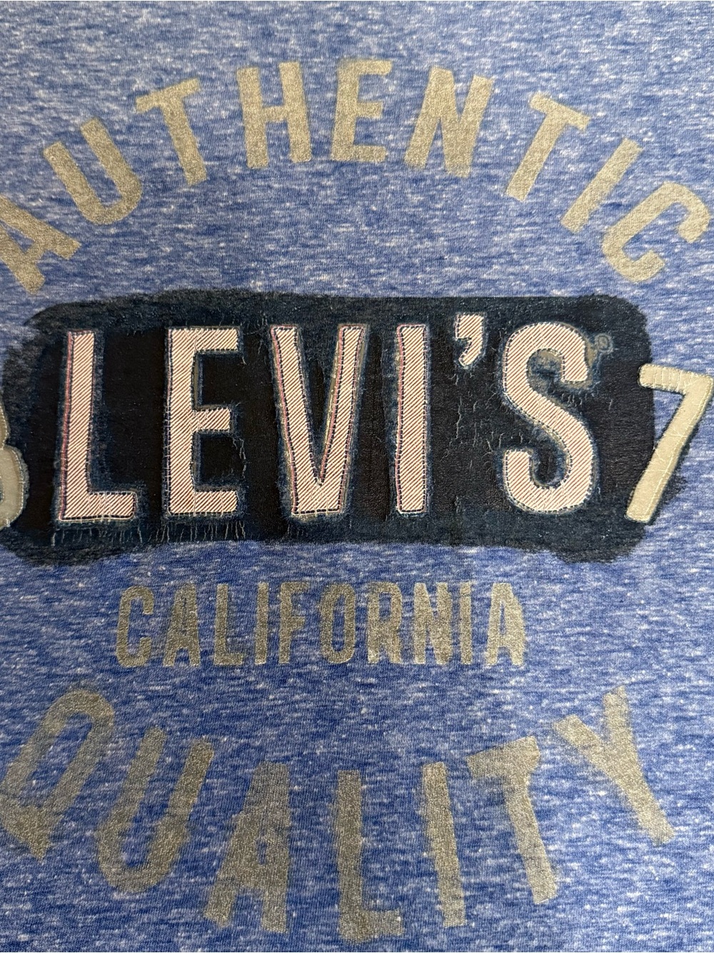 Levi's Men’s Blue Graphic Jeans Tee - Authentic California